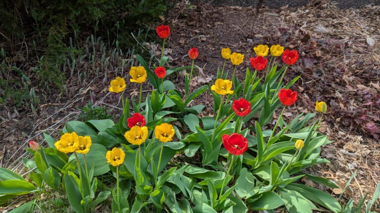 PXL_20250507_155706343