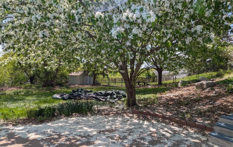 PXL_20250510_185310061~2