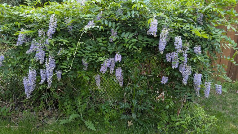 PXL_20250610_232942584