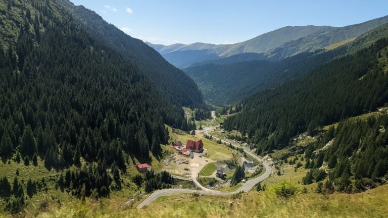 PXL_20250811_105254882~2