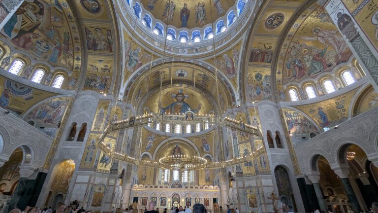 PXL_20250817_095345784