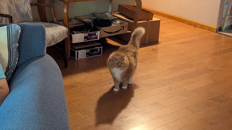 PXL_20250827_234348070