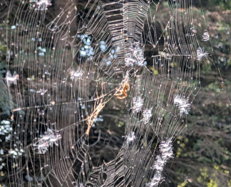 PXL_20250916_181631896~2