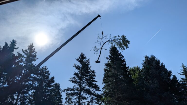 PXL_20250917_152243761