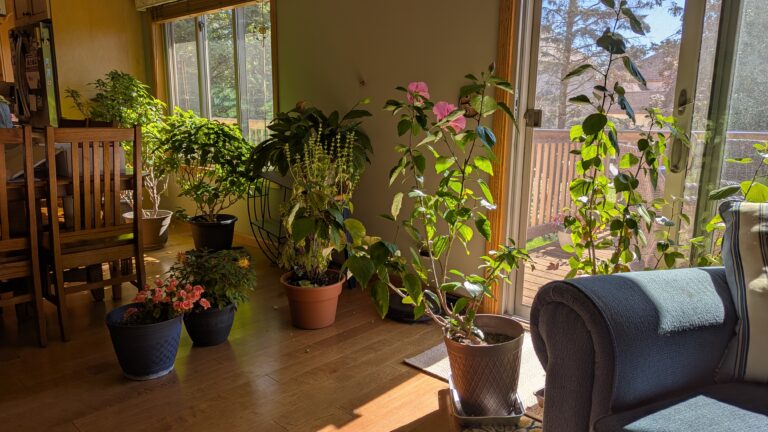 PXL_20251008_171344808