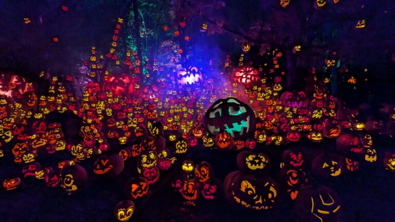 PXL_20251025_012332625