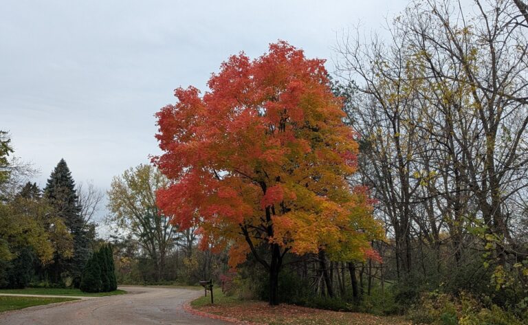 PXL_20251025_194513069