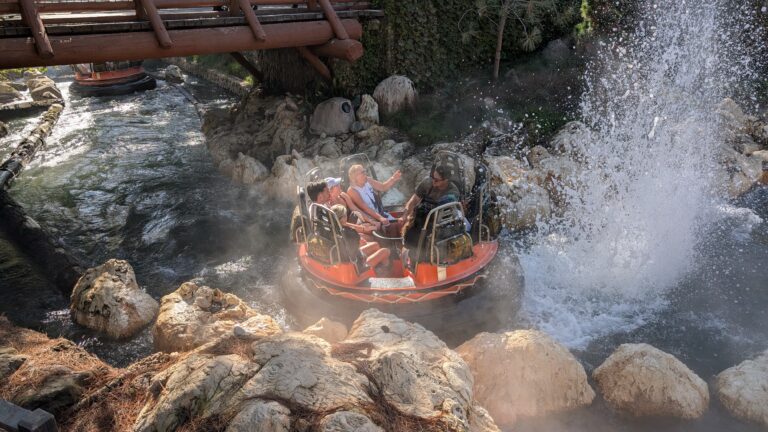 PXL_20251028_205702569