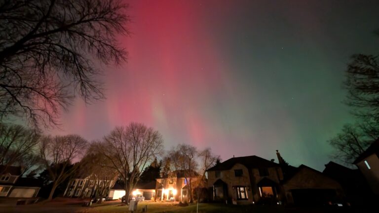 PXL_20251112_044735254