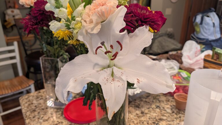 PXL_20251204_213050653