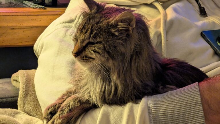 PXL_20251229_055707813