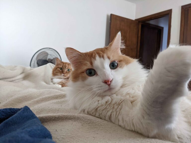 PXL_20260207_154913615