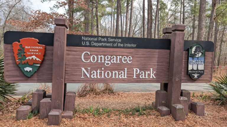 PXL_20260219_181326896