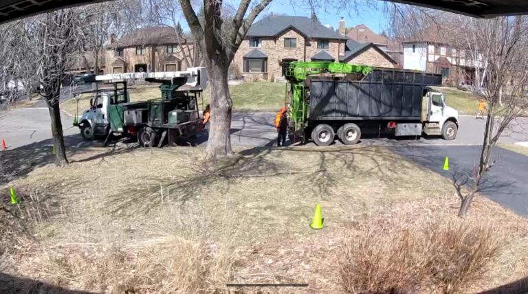 Screenshot_20260323-135254