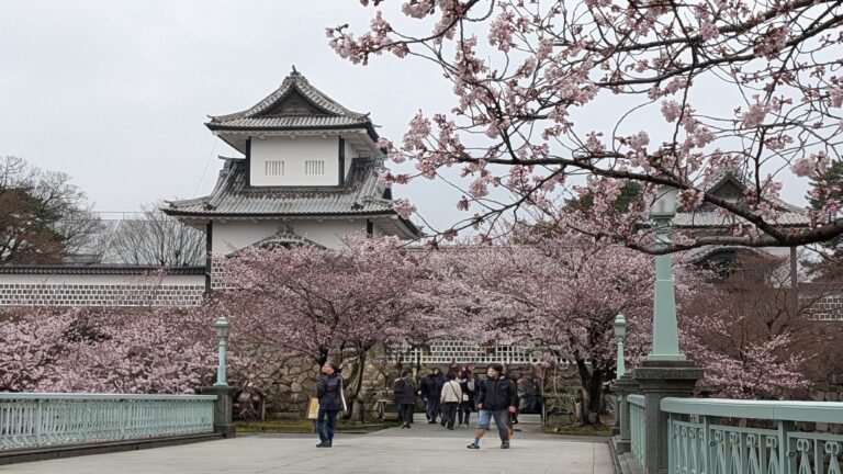 PXL_20260401_010608154~2